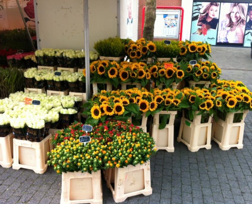 Mooie Bloemen Bloemen Amersfoort en Leusden